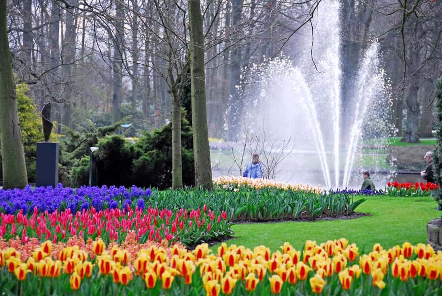 Brussels: Holland Keukenhof & Kinderdijk Guided Day Tour - Key points at a glance