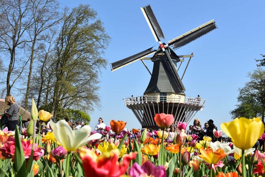 Brussels: Holland Keukenhof & Kinderdijk Guided Day Tour - The transfer to Keukenhof