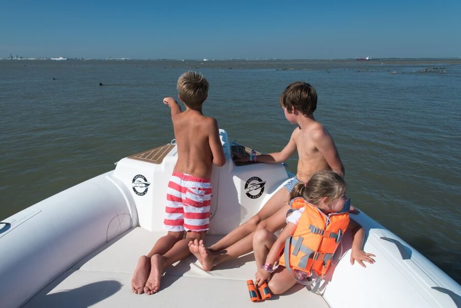 Cadzand: Seal Discovery Boat Tour with Glass of Champagne - Setting out from Cadzand harbor