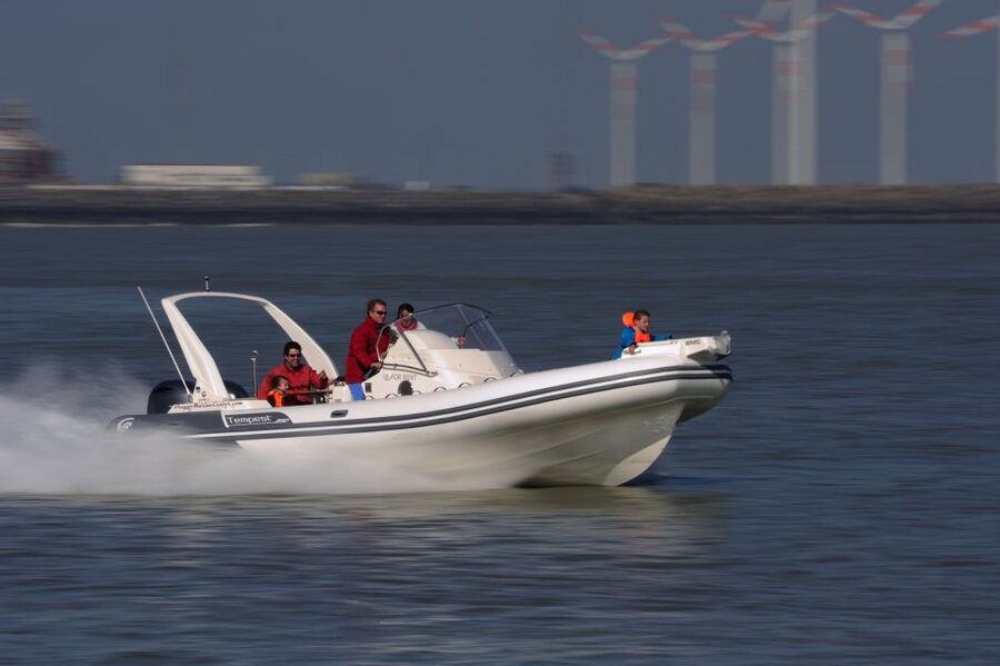 Cadzand: Seal Discovery Boat Tour with Glass of Champagne - Is $135 good value?