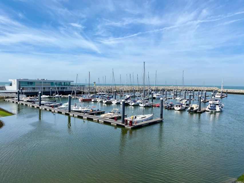 Cadzand: Seal Discovery Boat Tour with Glass of Champagne - Finding seals on the Westerschelde