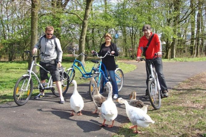 Cheese, Canals & Windmill Countryside E-Bike Tour Amsterdam - Guides make the difference