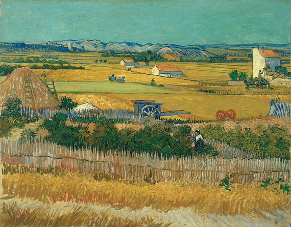 Combo Ticket: Van Gogh Museum Ticket and 1-Hour Canal Cruise - Who should choose this experience