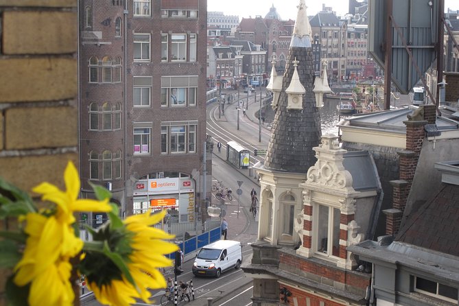 Countryside of Amsterdam Private tour - Weather, cancellation, and simple planning advice