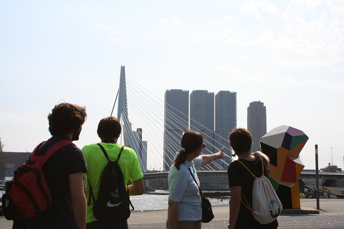 Cultural Walking Tour in Rotterdam - Markthal and a taste of local Rotterdam