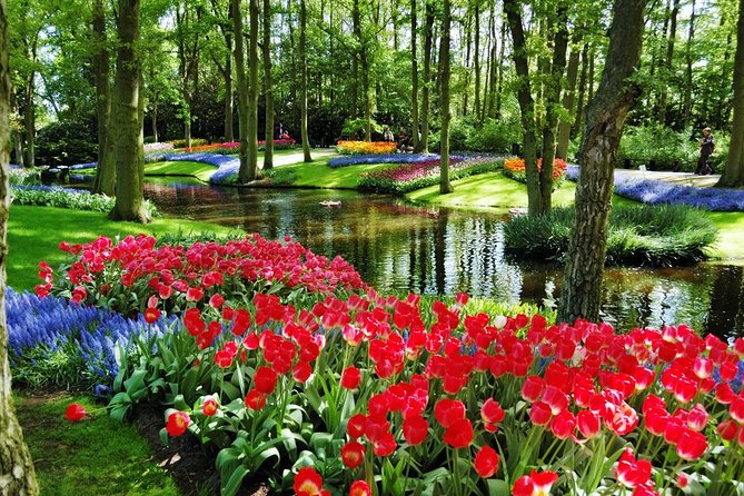 Day Trip to Keukenhof Gardens from Amsterdam with Tour Guide - Transport, group size, and the return meeting point