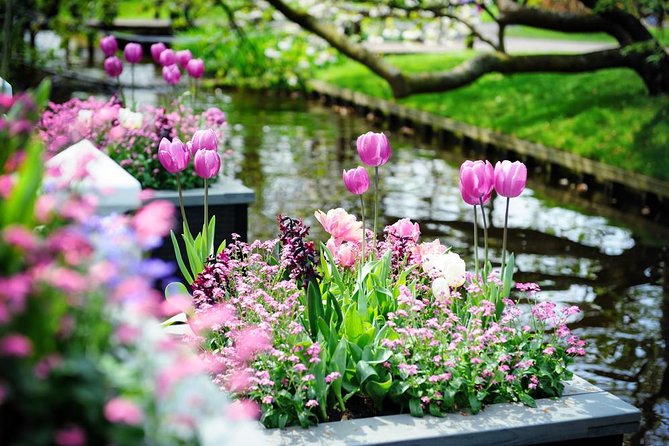 Day Trip to Keukenhof Gardens from Amsterdam with Tour Guide - Who should book this Keukenhof outing?