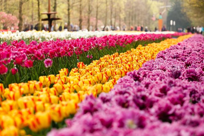 Day Trip to Keukenhof Gardens from Amsterdam with Tour Guide - The 9:00 a.m. departure from central Amsterdam