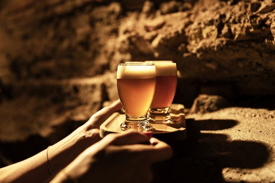 Delft: Craft Beer Tasting in Medieval Brewery with Snacks - Who should book this beer tasting?