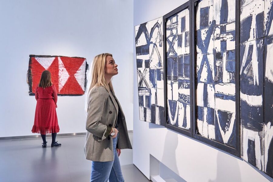 Den Bosch: Het Noordbrabants Museum Entry Ticket - Accessibility and practical booking details