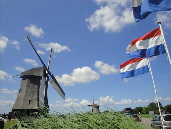 Discover Holland’s Beautiful Tulip Fields with an Expert Guide - At a glance