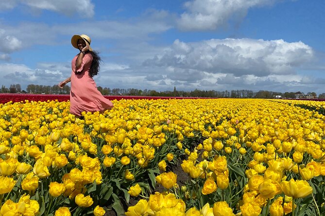 Discover Holland’s Beautiful Tulip Fields with an Expert Guide - Crossing the Beemster Polder from Amsterdam