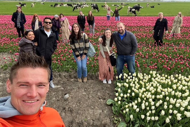 Discover Holland’s Beautiful Tulip Fields with an Expert Guide - The best time to book this experience