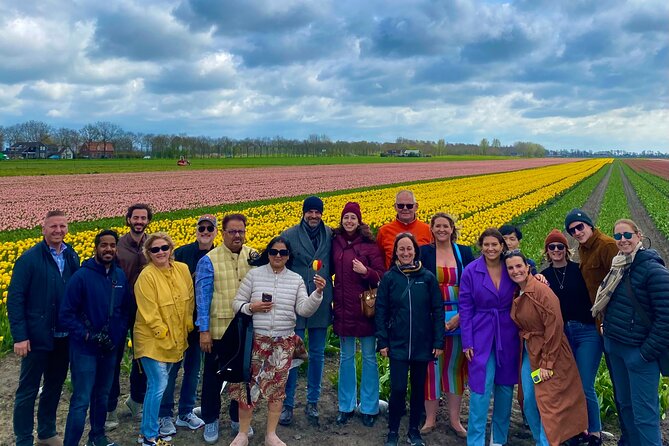 Discover Holland’s Beautiful Tulip Fields with an Expert Guide - What $163.27 buys you