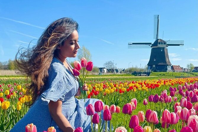Discover Holland’s Beautiful Tulip Fields with an Expert Guide - Twisk: your first close look at a tulip farm