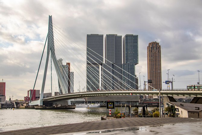 Discover Rotterdam’s most Photogenic Spots with a Local - The Market Hall, Rotterdam’s big visual hit