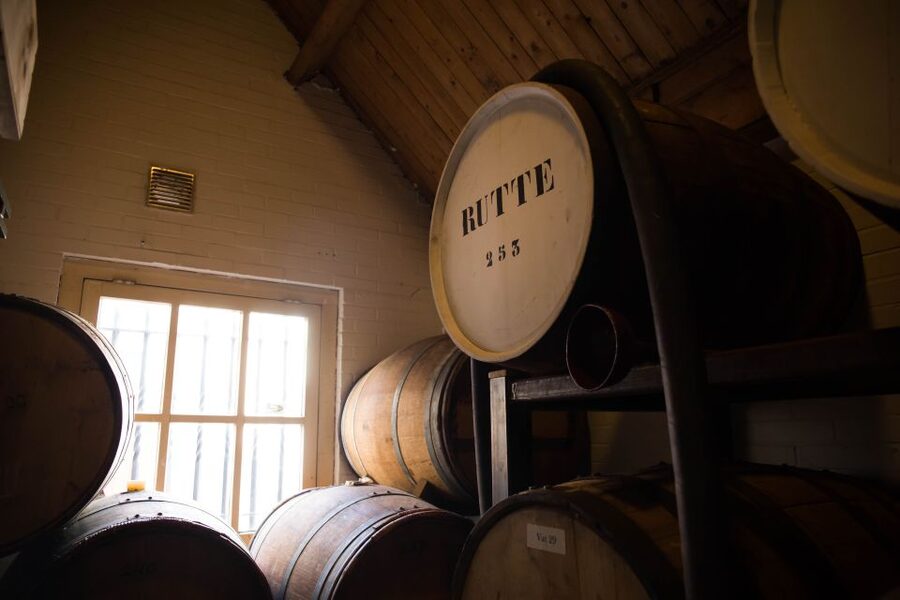 Dordrecht: Distillery Tour with Dutch Gin & Genever Tasting - What the experience does especially well