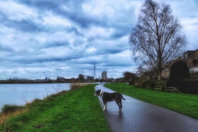 Dutch Windmills & Polder Walking Tour - Starting at Leiden Centraal