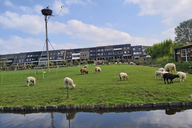 Dutch Windmills & Polder Walking Tour - Stadsmolensloot and the working idea behind the mills