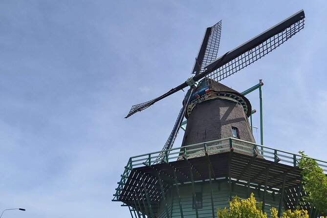Dutch Windmills & Polder Walking Tour - What the guide adds to the experience