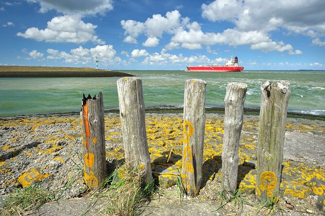 e-Scavenger hunt Terneuzen: Explore the city at your own pace - Seeing Terneuzen through a city game
