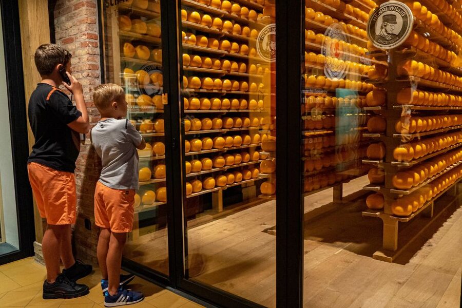 Edam: Edam Cheese Museum Entry Ticket - Is $9 a fair price?