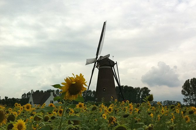 Eindhoven: E-Fatbike Tour In The Footsteps of Vincent van Gogh - Kerssemakers, the old station, and a Sunday in Eindhoven