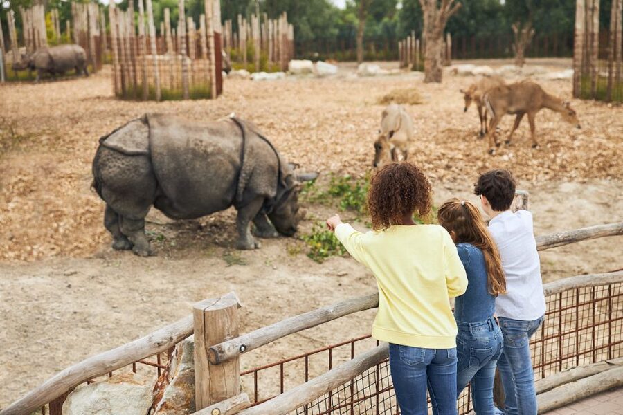Eindhoven Zoo Entry Ticket - More Than 400 Bird Species for a Slower Walk