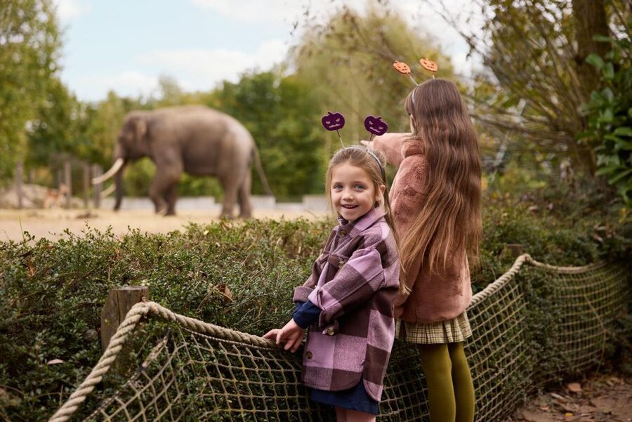 Eindhoven Zoo Entry Ticket - Is the $28 Ticket Good Value?