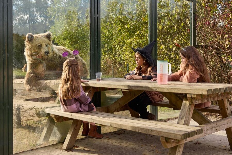 Eindhoven Zoo Entry Ticket - Timing, Comfort, and Access