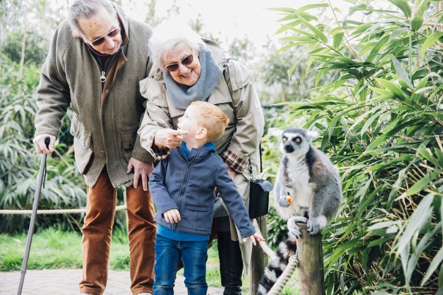 Eindhoven Zoo Entry Ticket - Booking Flexibility and the Main Catch