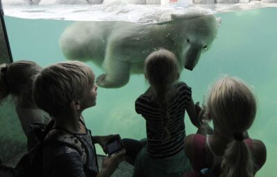 Wildlands Adventure Zoo and Rimbula River Boat Ride