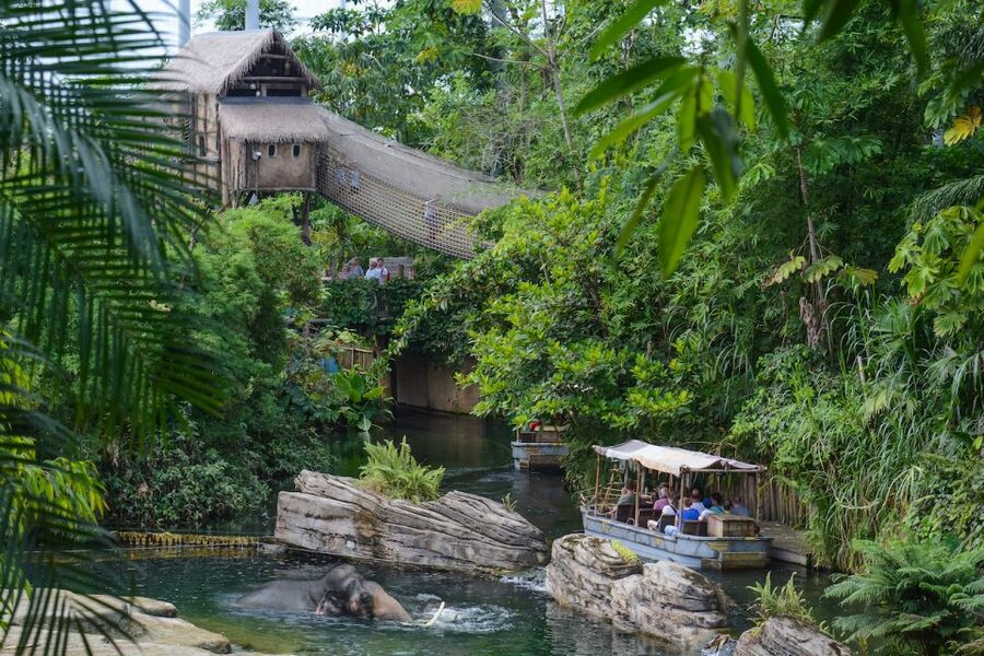 Emmen: Wildlands Adventure Zoo and Rimbula River Boat Ride - Daily animal presentations make the visit more useful