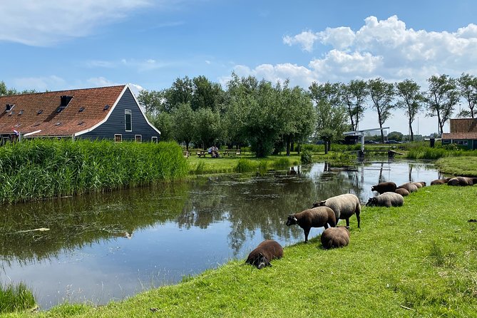 Escape Amsterdam: E-Bike to Zaanse Schans Windmills & Zaandam - Krijtmolen d’Admiraal and the first working windmill