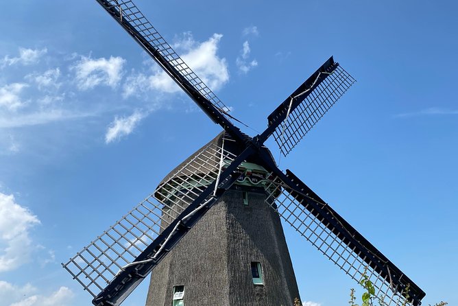Escape Amsterdam: E-Bike to Zaanse Schans Windmills & Zaandam - Returning through NDSM Wharf
