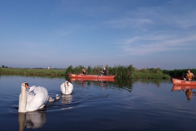 Fresh nose tour with the canoe through the nature near Amsterdam - What to bring for a comfortable paddle