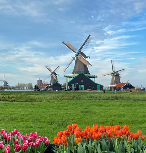 From Amsterdam; Alkmaar Cheese market & Zaanse Schans - Zaanse Schans in one quick hour