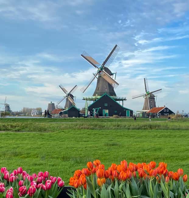 From Amsterdam; Alkmaar Cheese market & Zaanse Schans - Two hours to eat, browse, and see Alkmaar