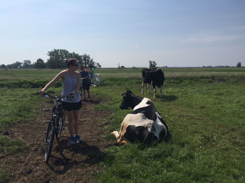 From Amsterdam: Countryside Bike Tour - Riding the dikes and Dutch water system