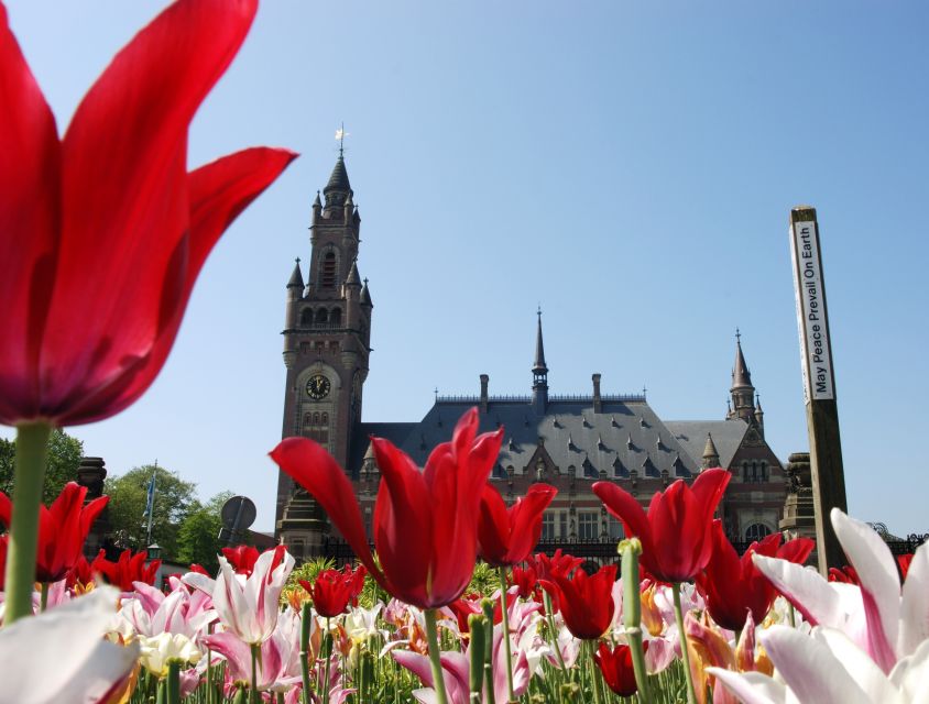 From Amsterdam: Guided Trip to Rotterdam, Delft & The Hague - Key points at a glance