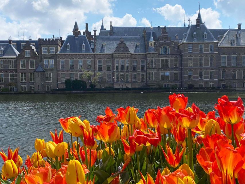 From Amsterdam: Guided Trip to Rotterdam, Delft & The Hague - Why this South Holland route works in one day