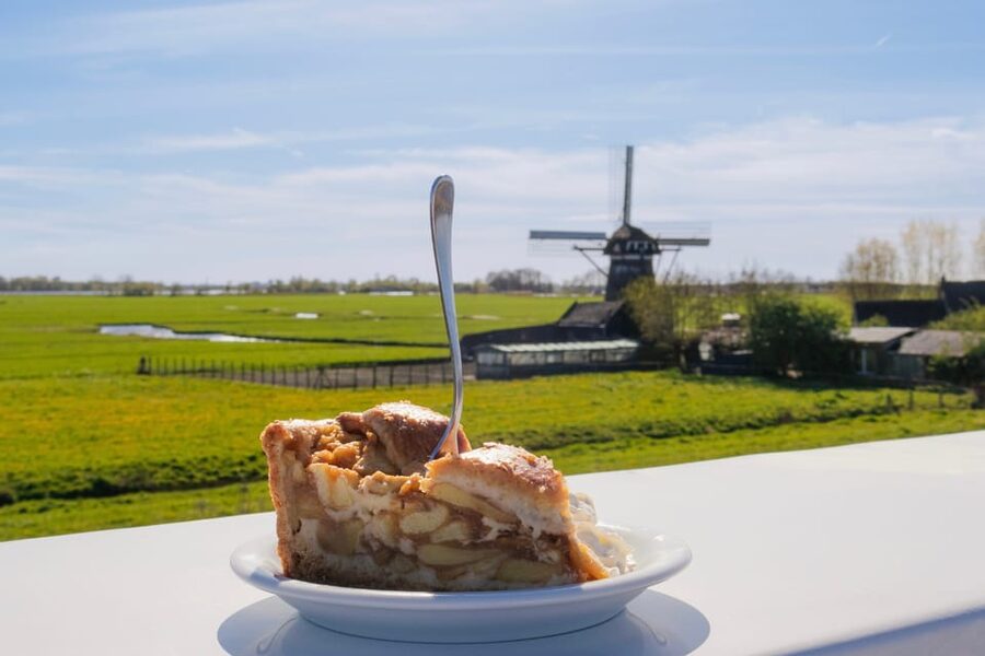 From Amsterdam: Holland Flower and Windmill Tour - summer ed - What the coach ride adds, and what it may not