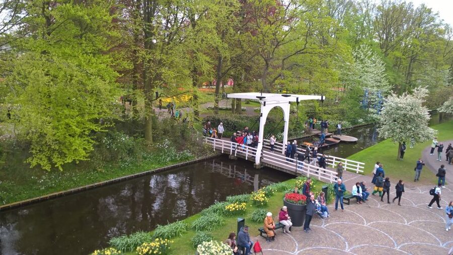 From Amsterdam: Keukenhof and Zaanse Schans Small Group Tour - Clogs, cheese, and the useful side of the visit