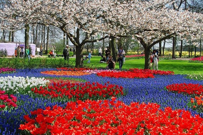 From Amsterdam: Keukenhof Gardens Ticket and Transfer - Choosing the right week for flowers