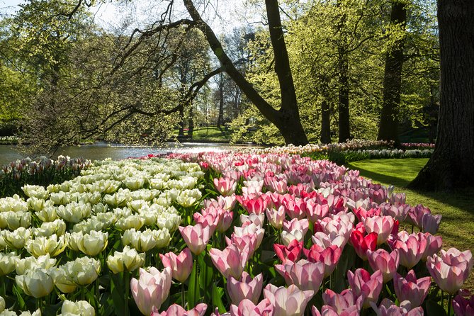 From Amsterdam: Keukenhof Gardens Ticket and Transfer - The bus ride through the Dutch countryside