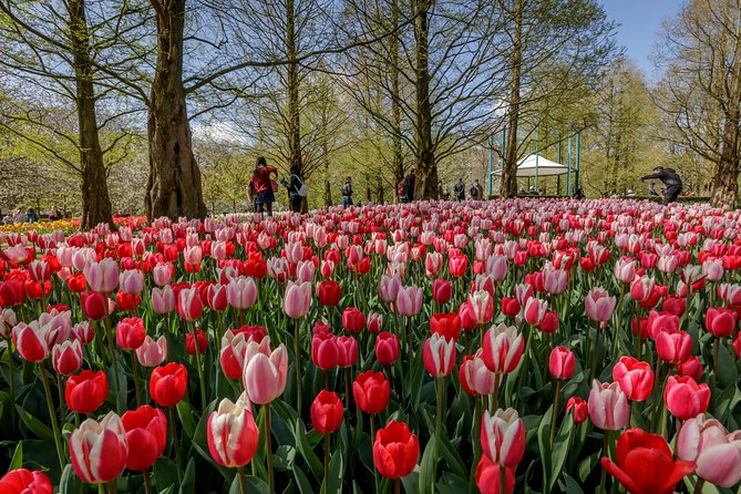 From Amsterdam: Keukenhof Gardens Ticket and Transfer - The return bus is the part to handle carefully
