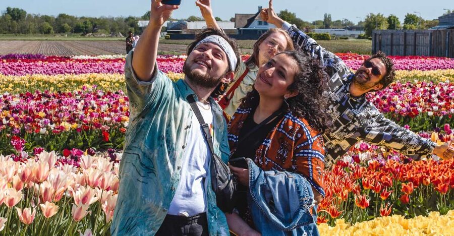 From Amsterdam: Keukenhof Gardens & Tulip Experience Tour - Why pair a tulip farm with Keukenhof?