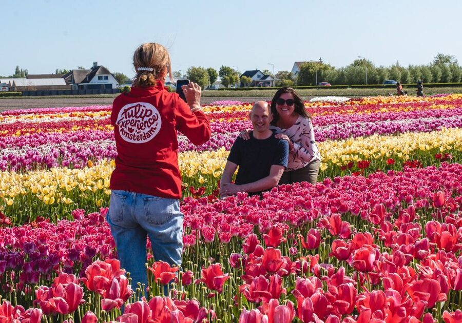 From Amsterdam: Keukenhof Gardens & Tulip Experience Tour - Walking, families, and who should book