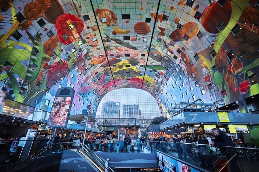 From Amsterdam: Rotterdam, Delft & The Hague Guided Day Tour - Timing, comfort, and the parts that take effort