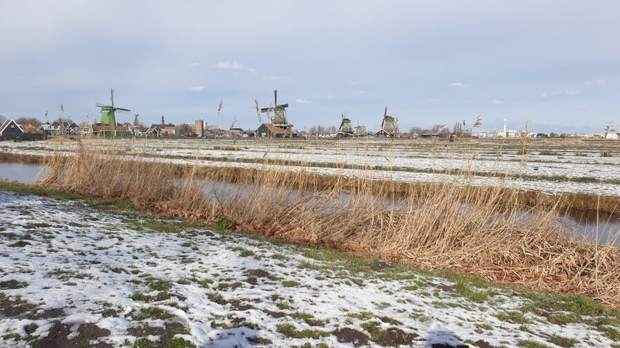 From Amsterdam: Small Group Zaanse Schans and Volendam Tour - Cheese, clogs, and Dutch souvenirs